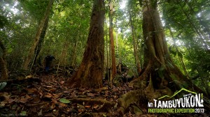 Mount Tambuyukon Expedition  